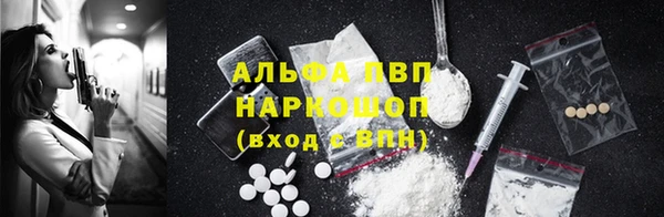 PSILOCYBIN Бронницы
