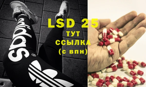 PSILOCYBIN Бронницы