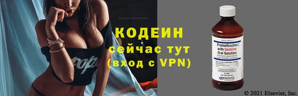 ГАЛЛЮЦИНОГЕННЫЕ ГРИБЫ Бородино