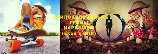 ГАЛЛЮЦИНОГЕННЫЕ ГРИБЫ Бородино