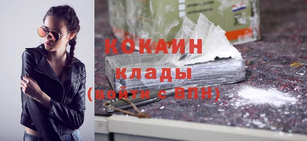 ГАЛЛЮЦИНОГЕННЫЕ ГРИБЫ Бородино