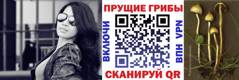 Псилоцибиновые грибы Magic Shrooms  Купить закладки  Гай 